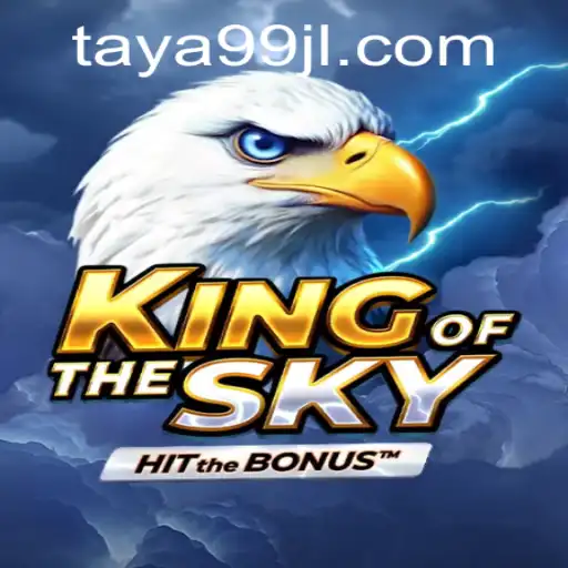KingOfTheSky: Conquer the Digital Skies